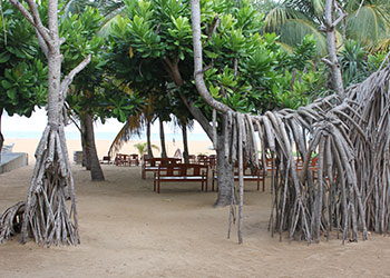 Negombo Beach Hotel